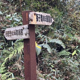 獅子舞へ
紅葉はどうかな　