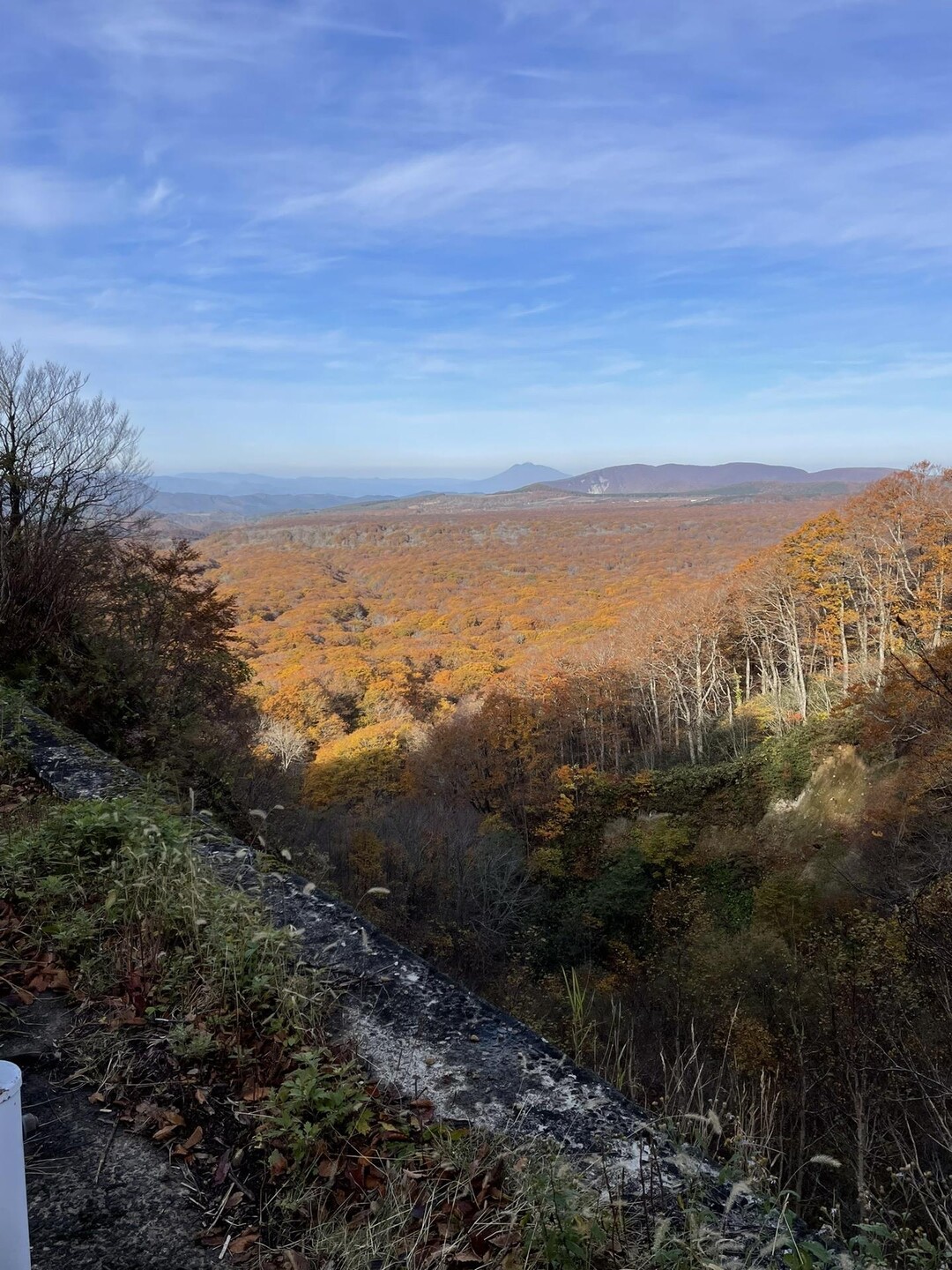十和田湖一周ライド / ひでさんの十和田湖の活動データ YAMAP / ヤマップ