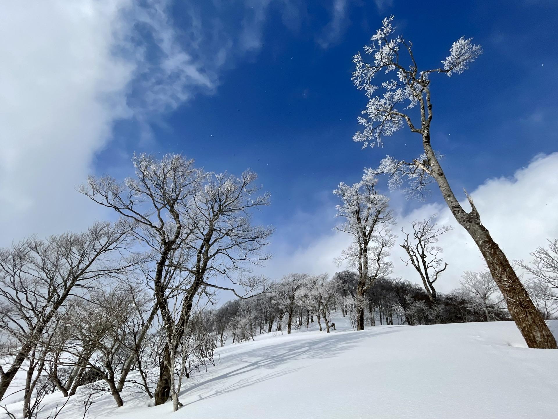 乾山作　雪景山水火入　一対　木箱付　幅約9㎝　本Y7-0414☆1Fトトオカ 乾山作 雪景山水火入 一対 木箱付 幅約9㎝ 東Y7-