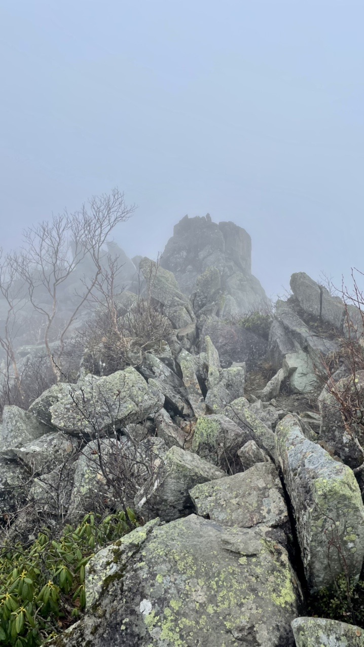何も見えない戸隠山 高妻山 Shinnoxさんの高妻山 戸隠山の活動データ Yamap ヤマップ