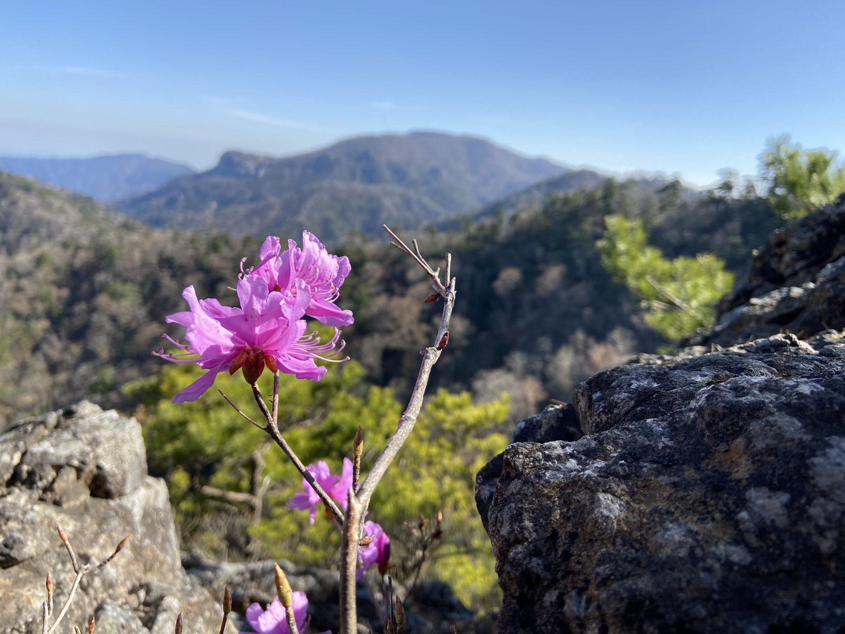 ハートの軌跡で春を探す 木山内岳 要山 夏木山 04 05 Taiyou さんの大崩山 五葉岳 新百姓山の活動データ Yamap ヤマップ