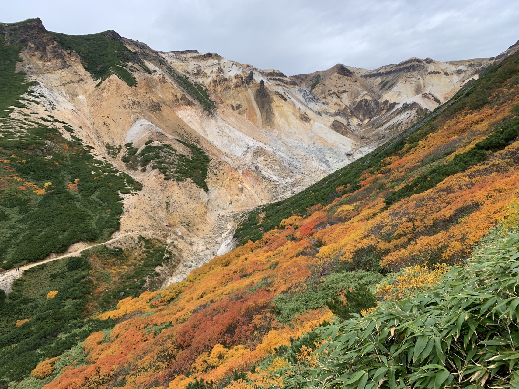 紅葉の絶景 富良野岳 19 09 29 トシさんの十勝岳 富良野岳 美瑛岳の活動データ Yamap ヤマップ