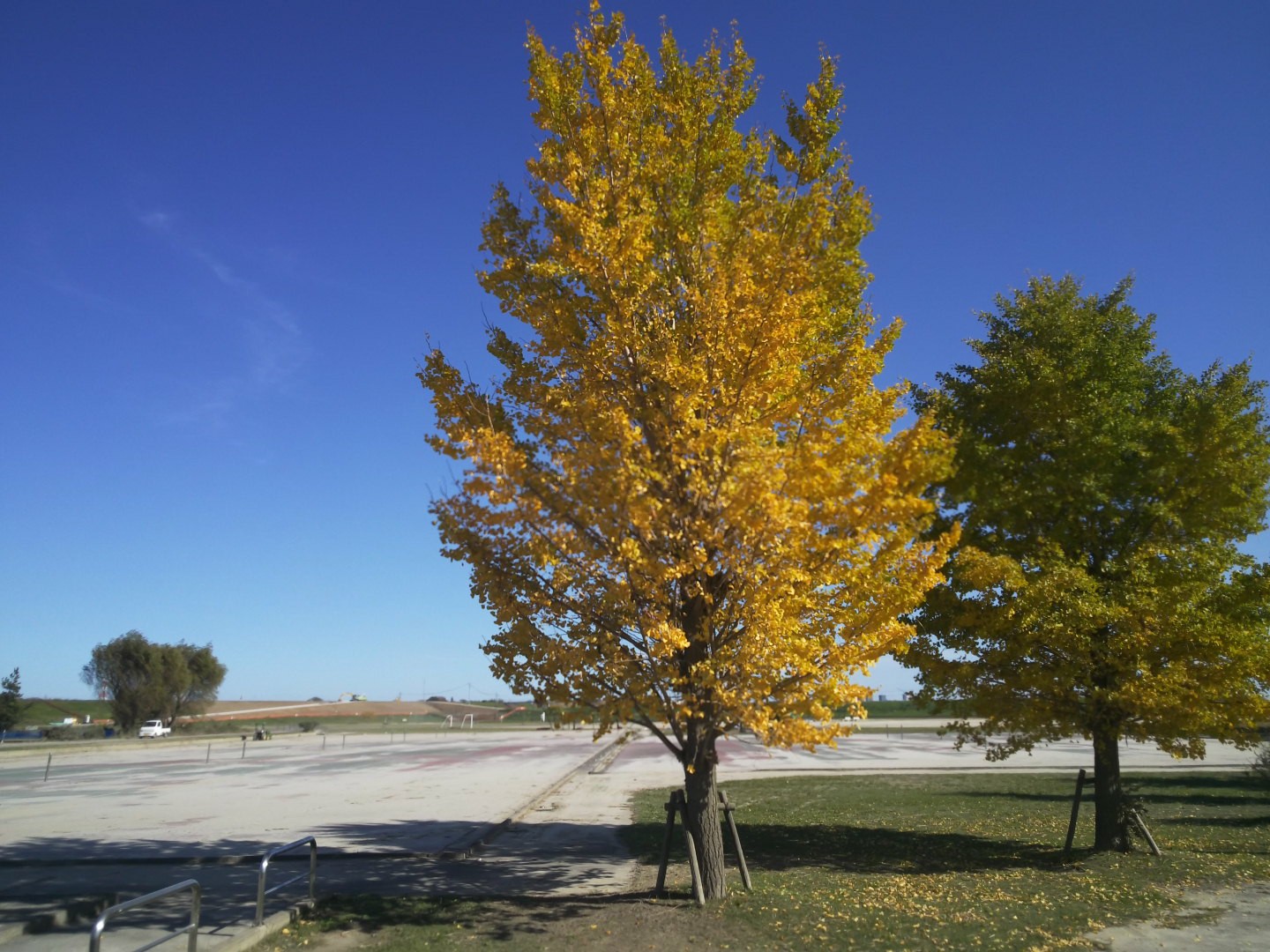 荒川沿いをミドルトレイル 19 11 17 Ussy2110さんの東京都23区 東エリアの活動データ Yamap ヤマップ