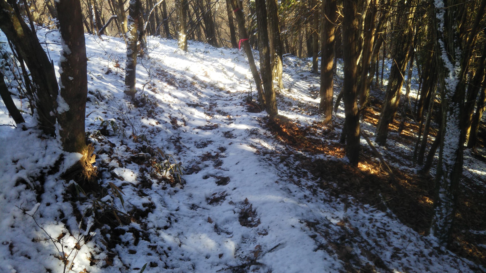 18きっぷで北へ 冠雪の榛名湖ぐるっと１周 ベイナスさんの榛名山 天狗山 天目山の活動データ Yamap ヤマップ