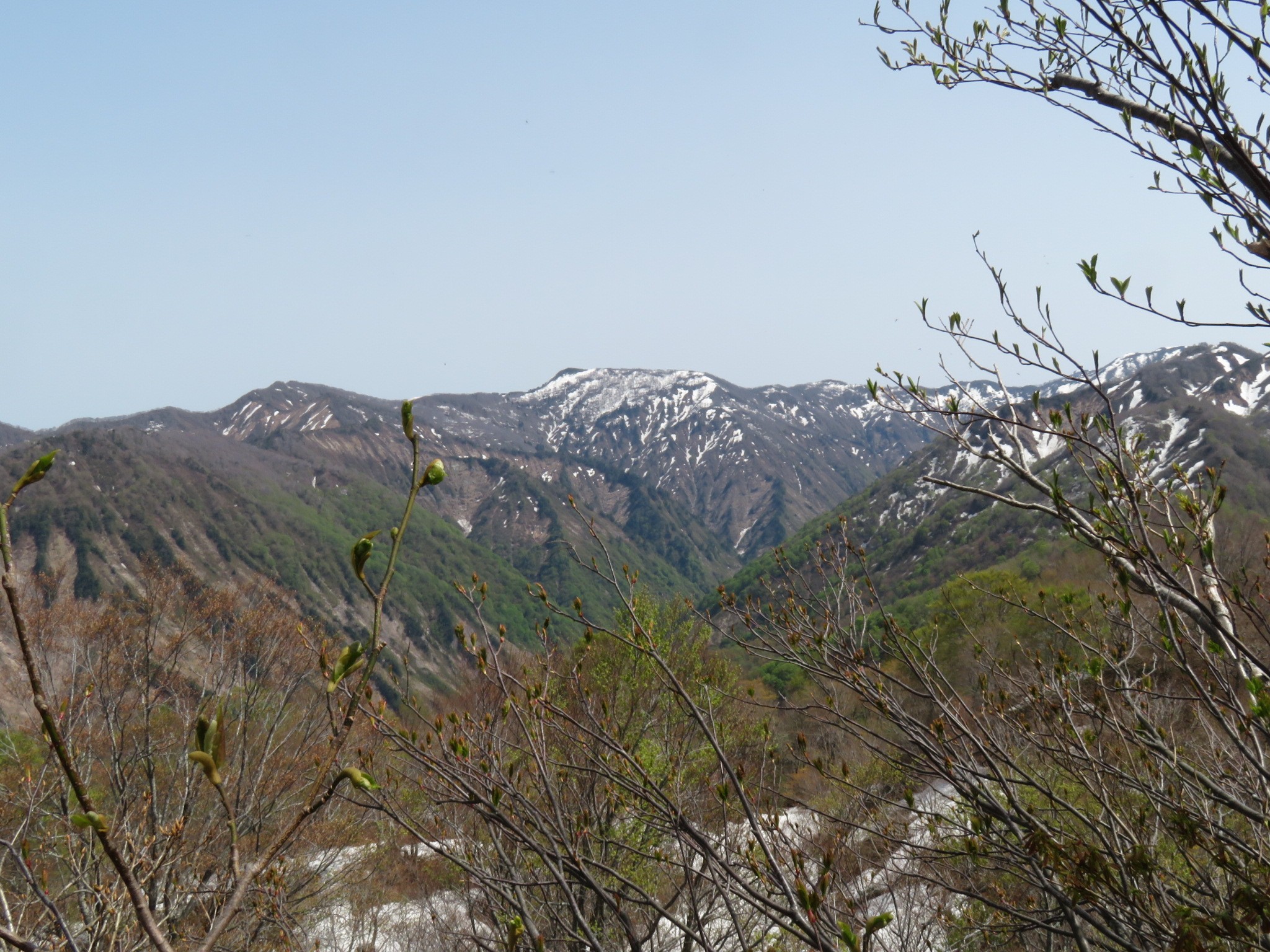 木六山・銀次郎山 五剣谷の大斜面まだ健在
昨年の同時期とかわりないですね