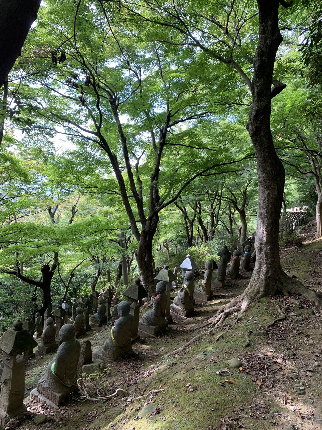 呉羽山 秋の渡り鳥の忍者祭り 横道亭mitsuさんの呉羽山 城山の活動データ Yamap ヤマップ