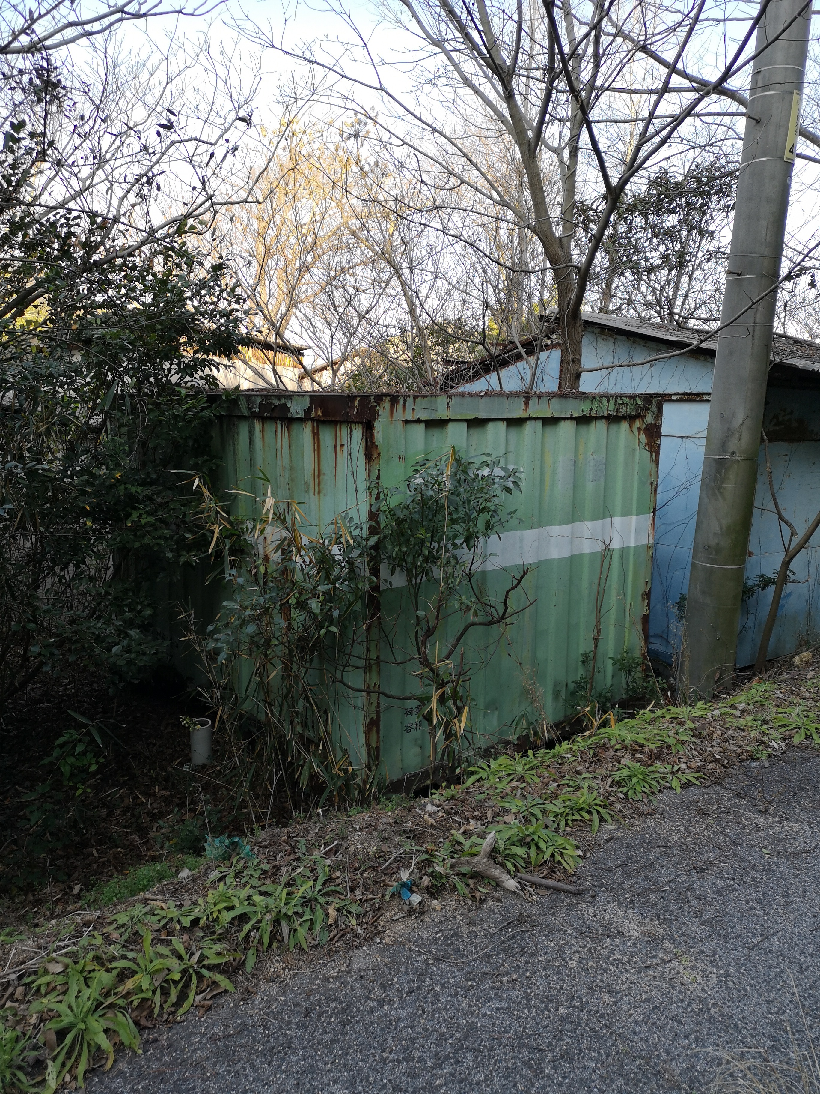 小佐木島と生口島散策 19 02 10 ゆみのすけさんの佐木島の活動日記 Yamap ヤマップ