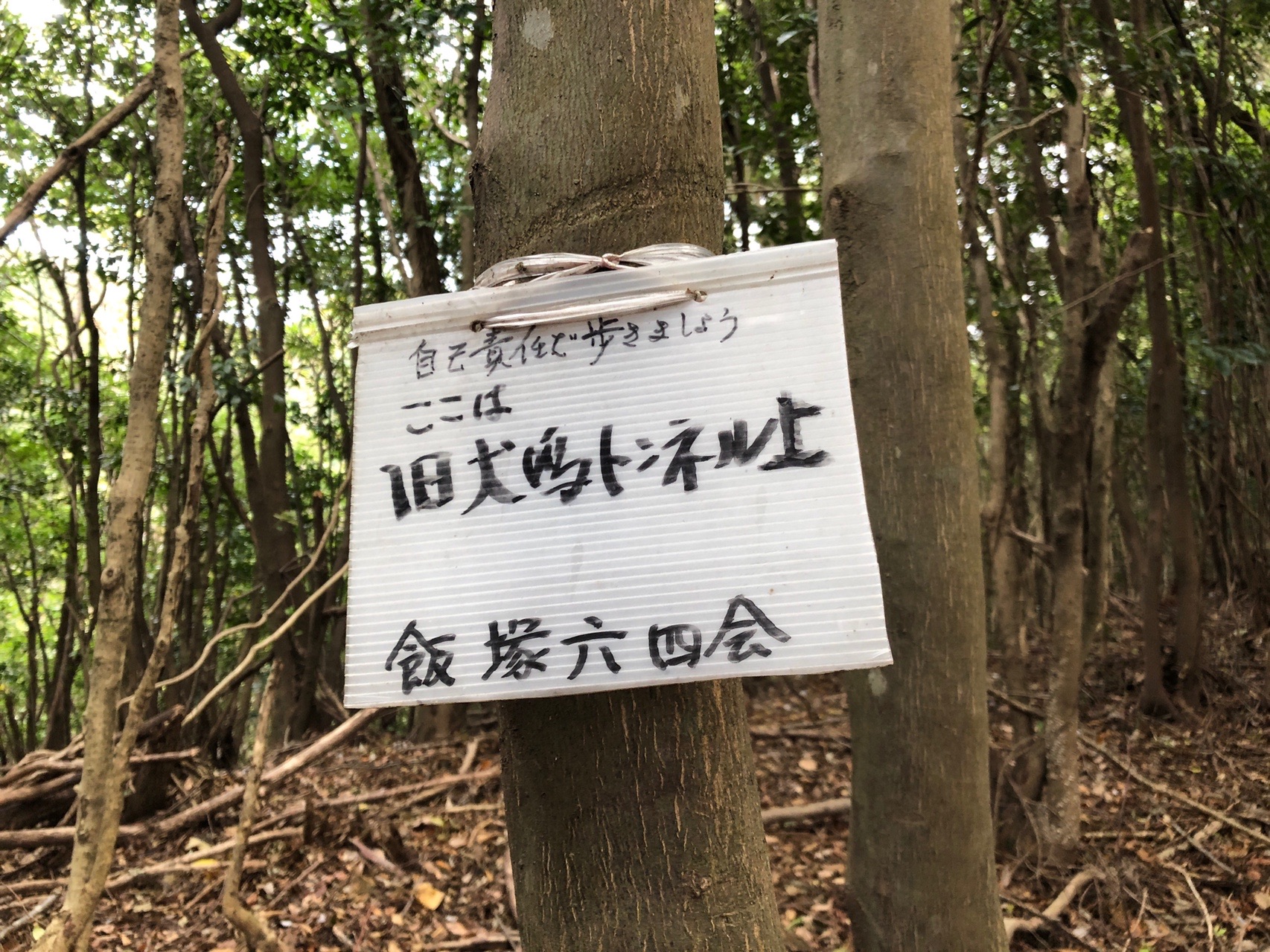 犬鳴村って映画が放映されるんだって まき おっきー さんの犬鳴山 西山 鮎坂山 の活動日記 Yamap ヤマップ