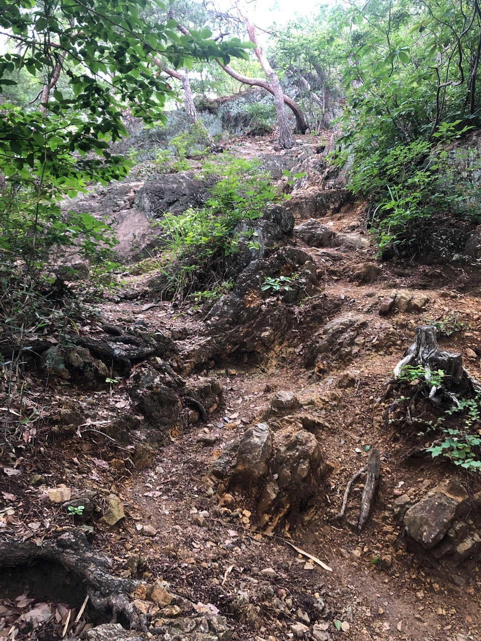 両崖山・仙人ヶ岳・石尊山 いきなり岩場