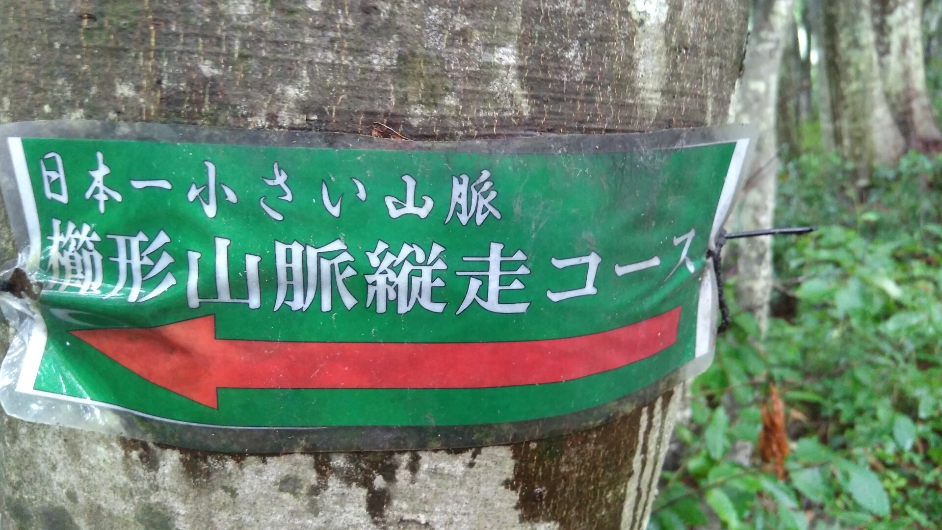 枡形山脈縦走 日本で一番短い山脈 Tosさんの櫛形山 鳥坂山 大峰山 櫛形山脈 の活動データ Yamap ヤマップ