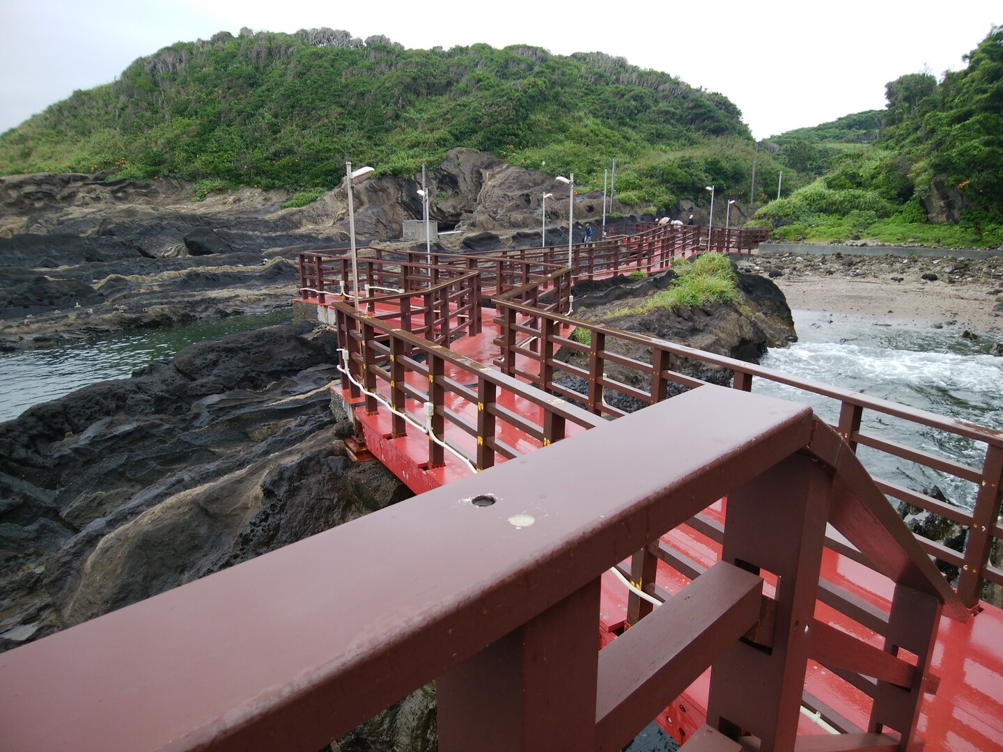 三浦市 19 07 13小網代の森と城ヶ島 元気で歩きたいさんの三浦市の活動データ Yamap ヤマップ
