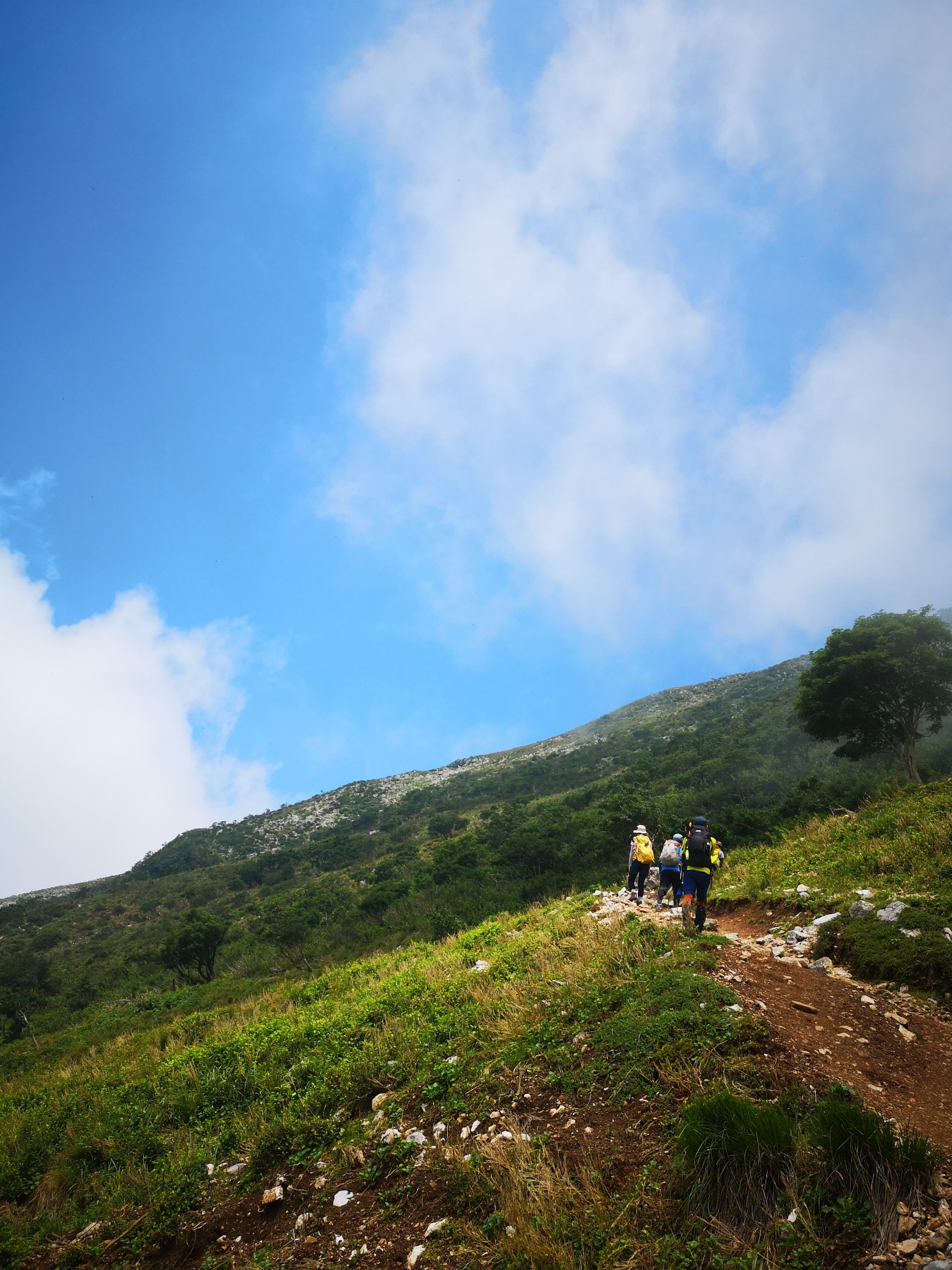 電車で伊吹山 近江長岡駅から Kojiさんの伊吹山 伊吹高原 御座峰の活動データ Yamap ヤマップ