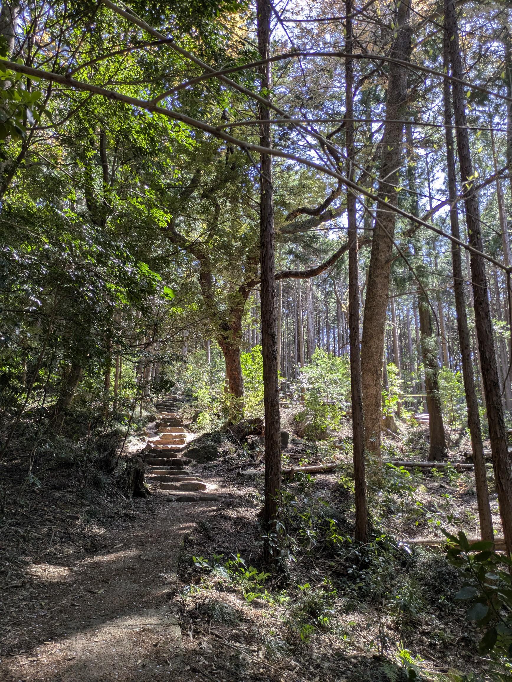 この道はほとんどすれ違わなかったな。