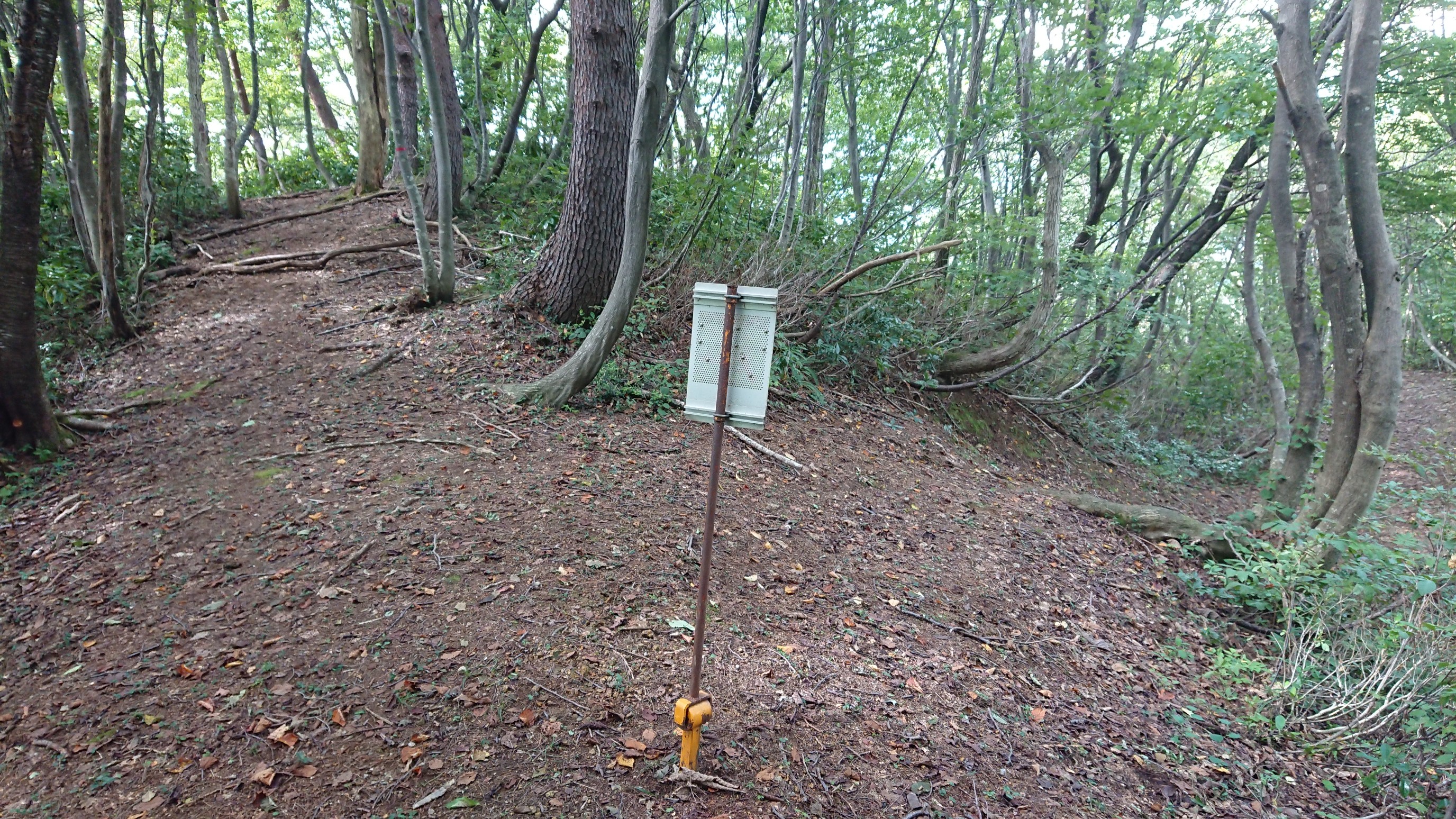 木六山・銀次郎山 右側から登ってきました
左に行くと104鉄塔、慈光寺へ