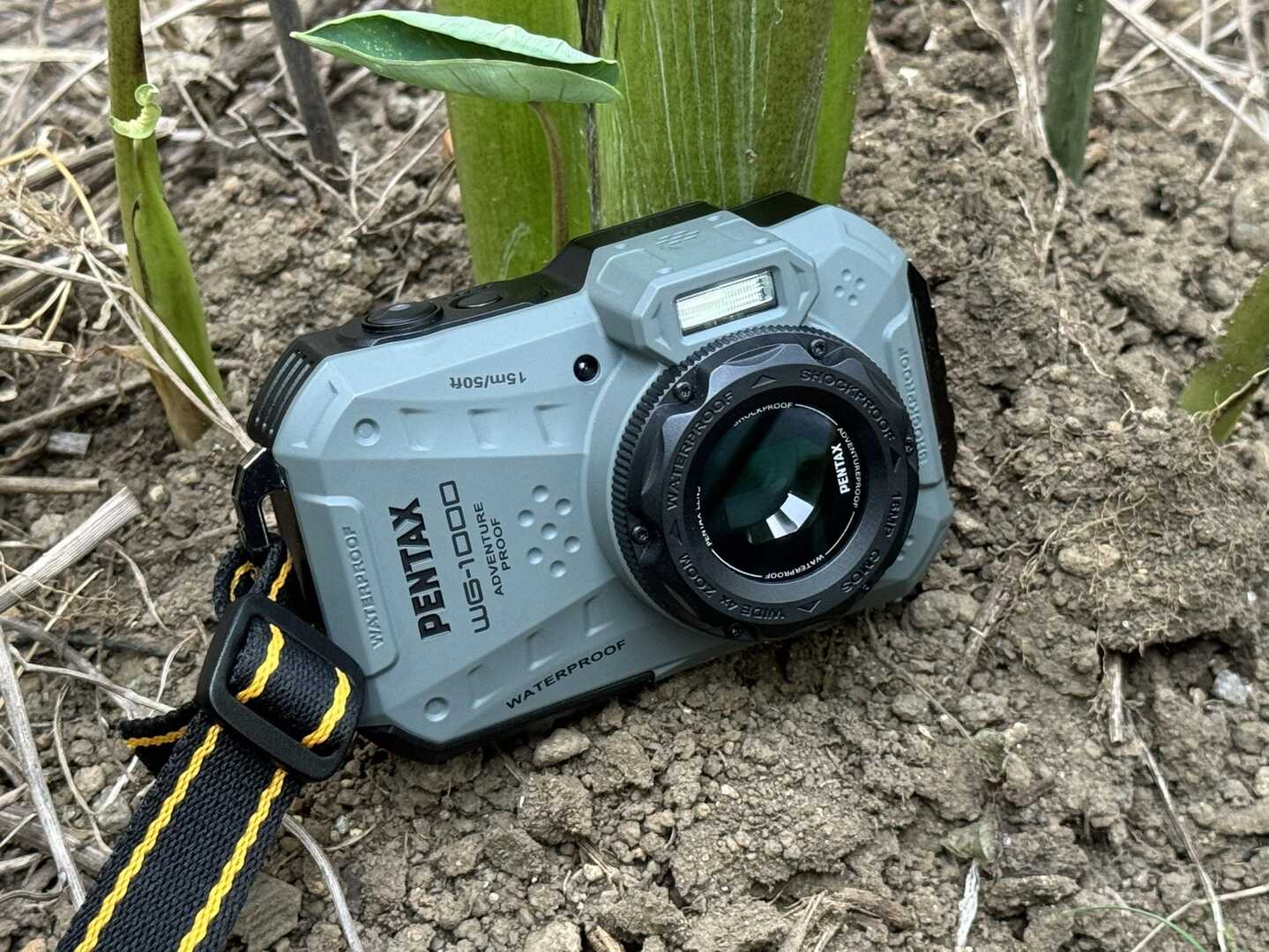 久しぶりにデジカメを購入。 PENTAX / トラさんのモーメント 久しぶりにデジカメを購入。 PENTAX / トラさんのモーメント