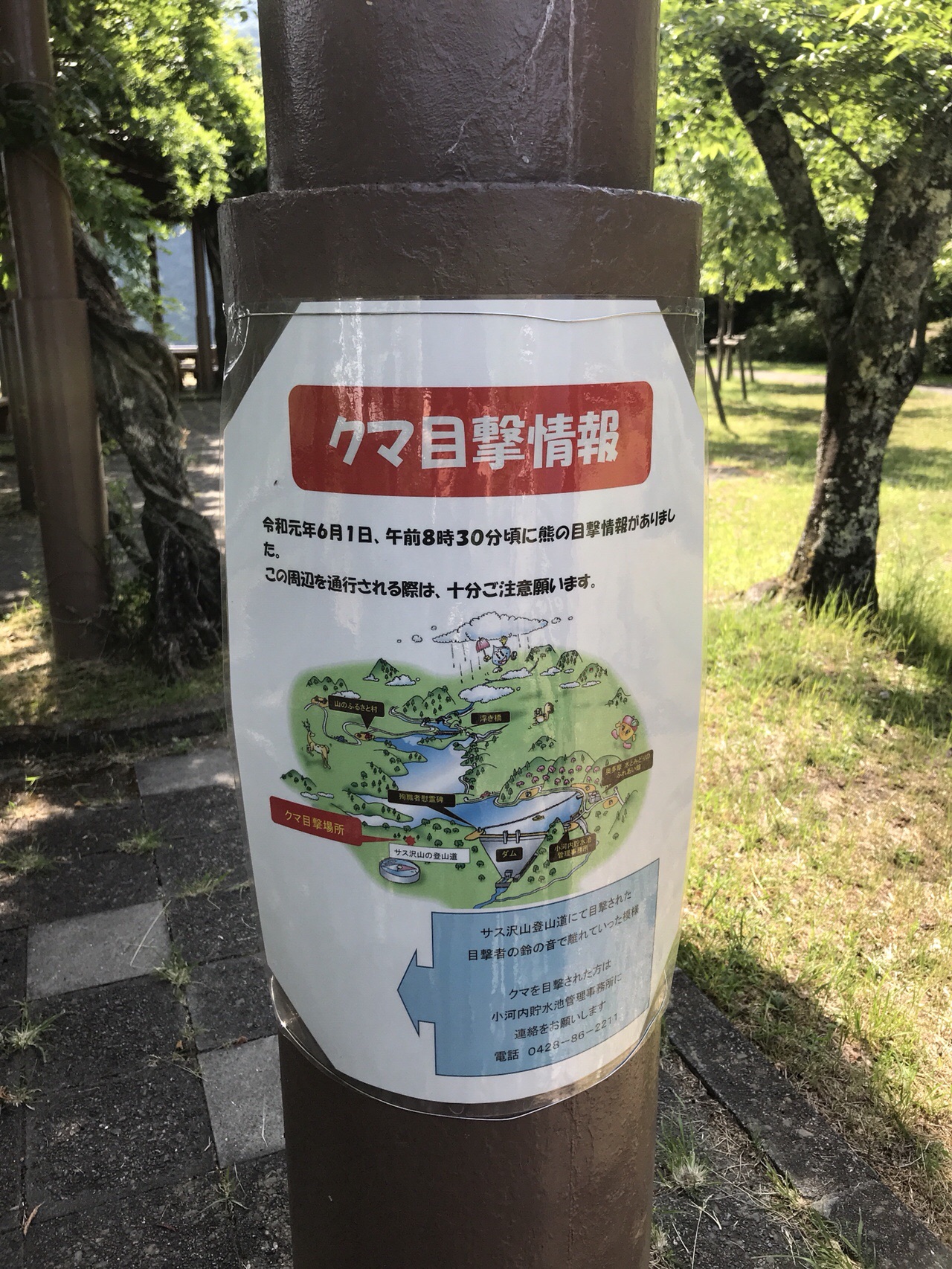 御前山 熊に合わなくてよかった 19 06 06 やあさんの大岳山 御岳山 御前山の活動日記 Yamap ヤマップ