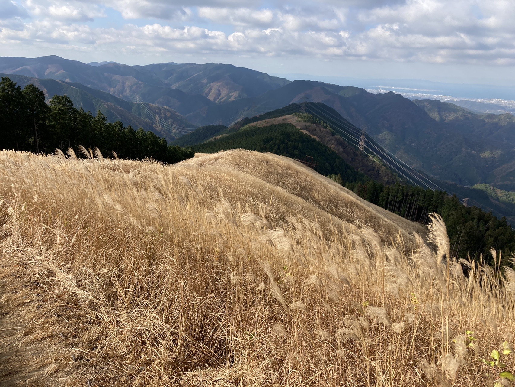 花ススキ が美しい岩湧山 Mikkoさんの槇尾山 槙尾山 和泉葛城山 神於山の活動データ Yamap ヤマップ
