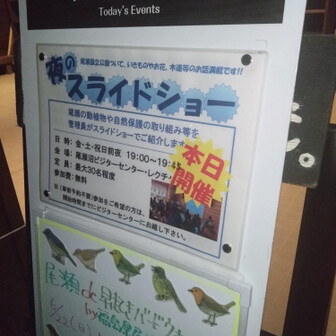 面白かった！
