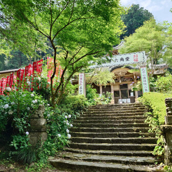 今日は看板猫さんには会えず( ；∀；)