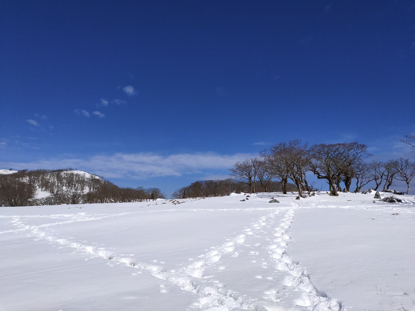 御池岳-2020-02-12