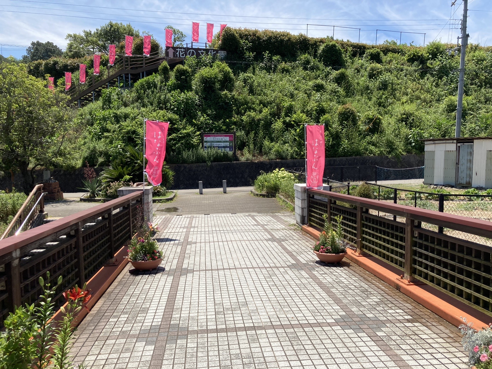 マドンナリリーに会いたくて In 花の文化園 06 07 ダーリン さんの岩湧山 一徳防山 三石山の活動日記 Yamap ヤマップ