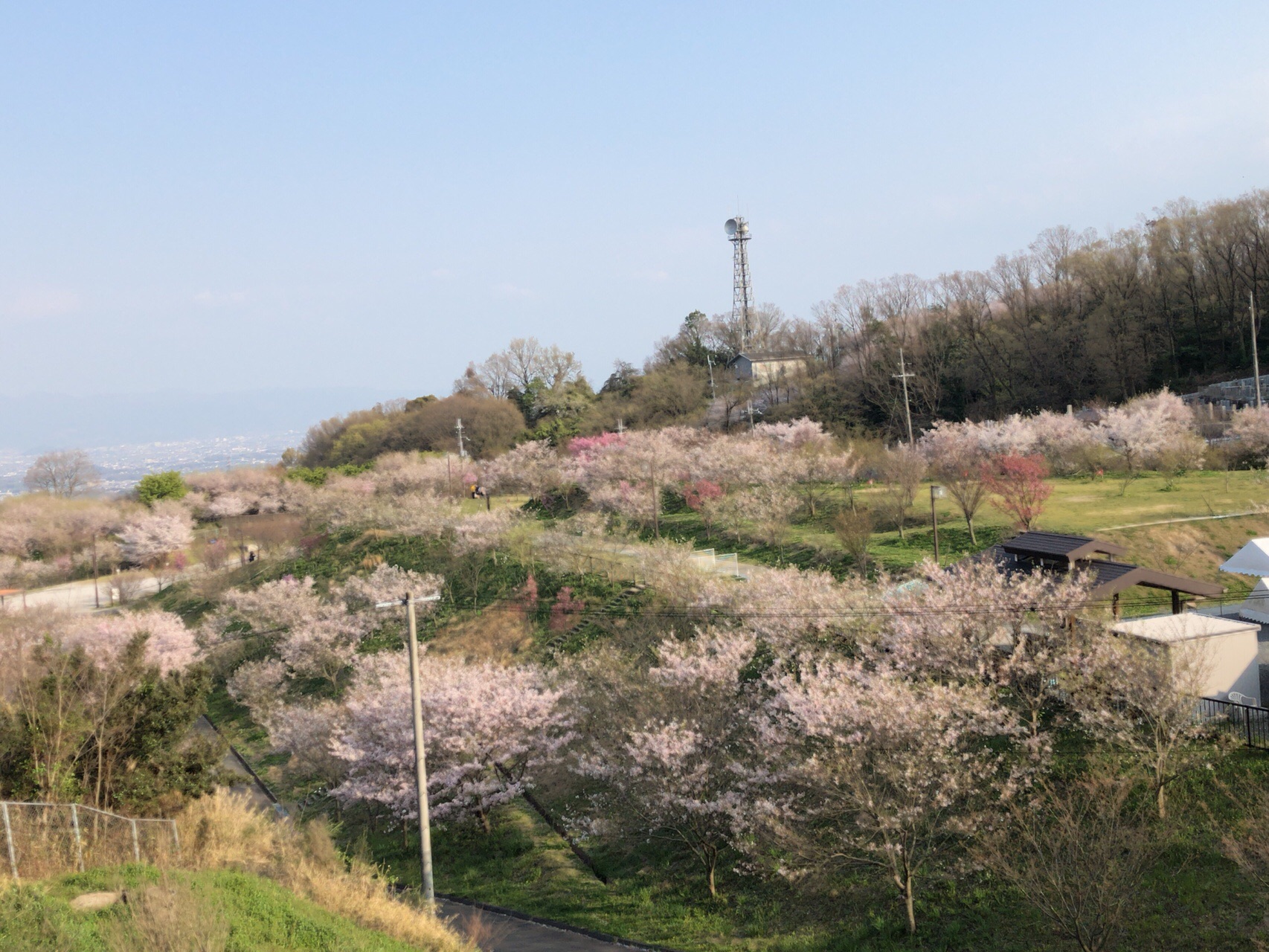 恩智神社 御座峰から里山公園 三室山へ ばーどさんの生駒山 神津嶽 大原山の活動日記 Yamap ヤマップ