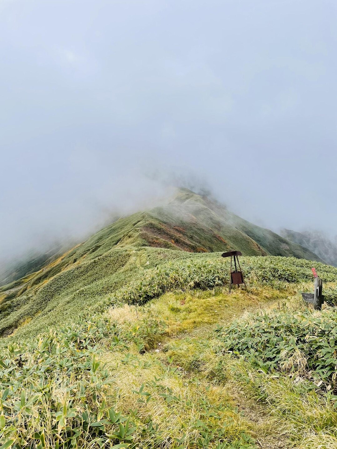 谷川岳(山頂スルー) / ざきをさんの谷川岳・七ツ小屋山・大源太山の活動データ | YAMAP / ヤマップ