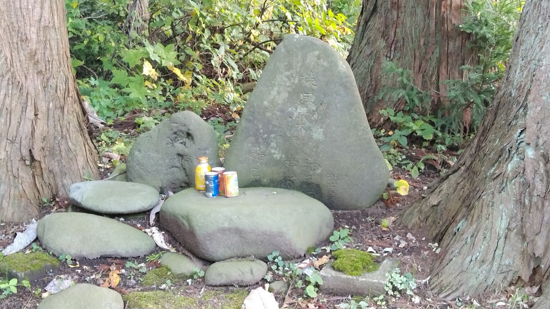 杉沢村へ / ねこやなぎさんの青森市の活動データ YAMAP / ヤマップ