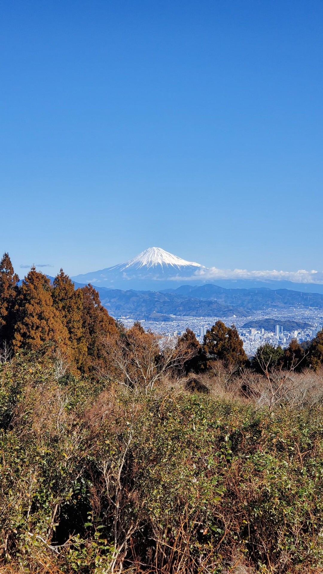 満観峰・丸子富士 / 山勘さんの焼津アルプス（高草山・満観峰・花沢山）・徳願寺山の活動データ YAMAP / ヤマップ