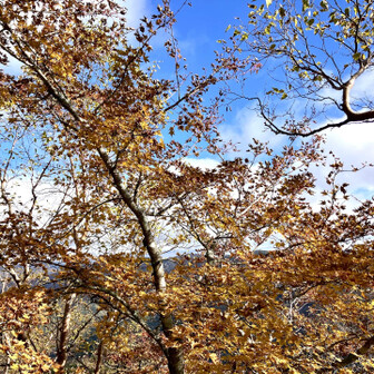 帰りはこんなにも晴れ間が・・・