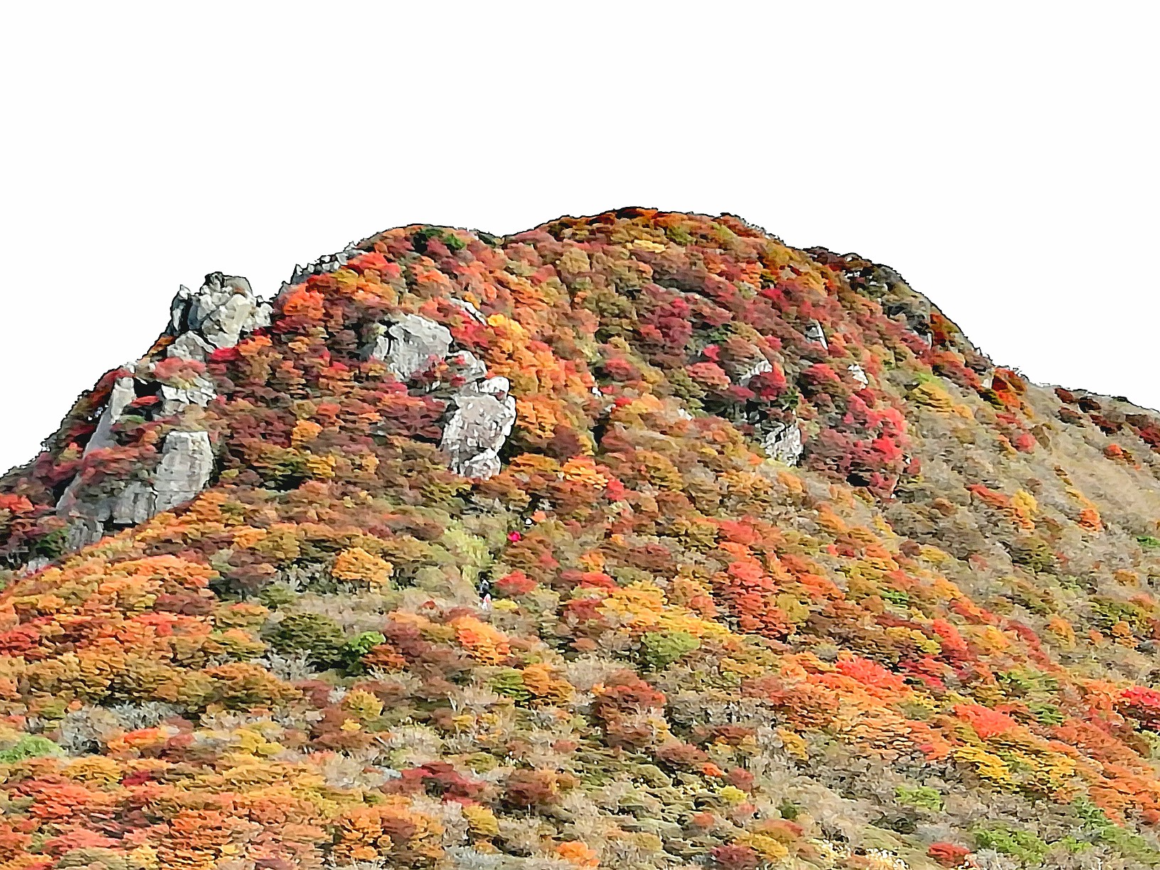 久住山 紅葉 情報10 じじぃさんの九重山 久住山 大船山 星生山の活動データ Yamap ヤマップ