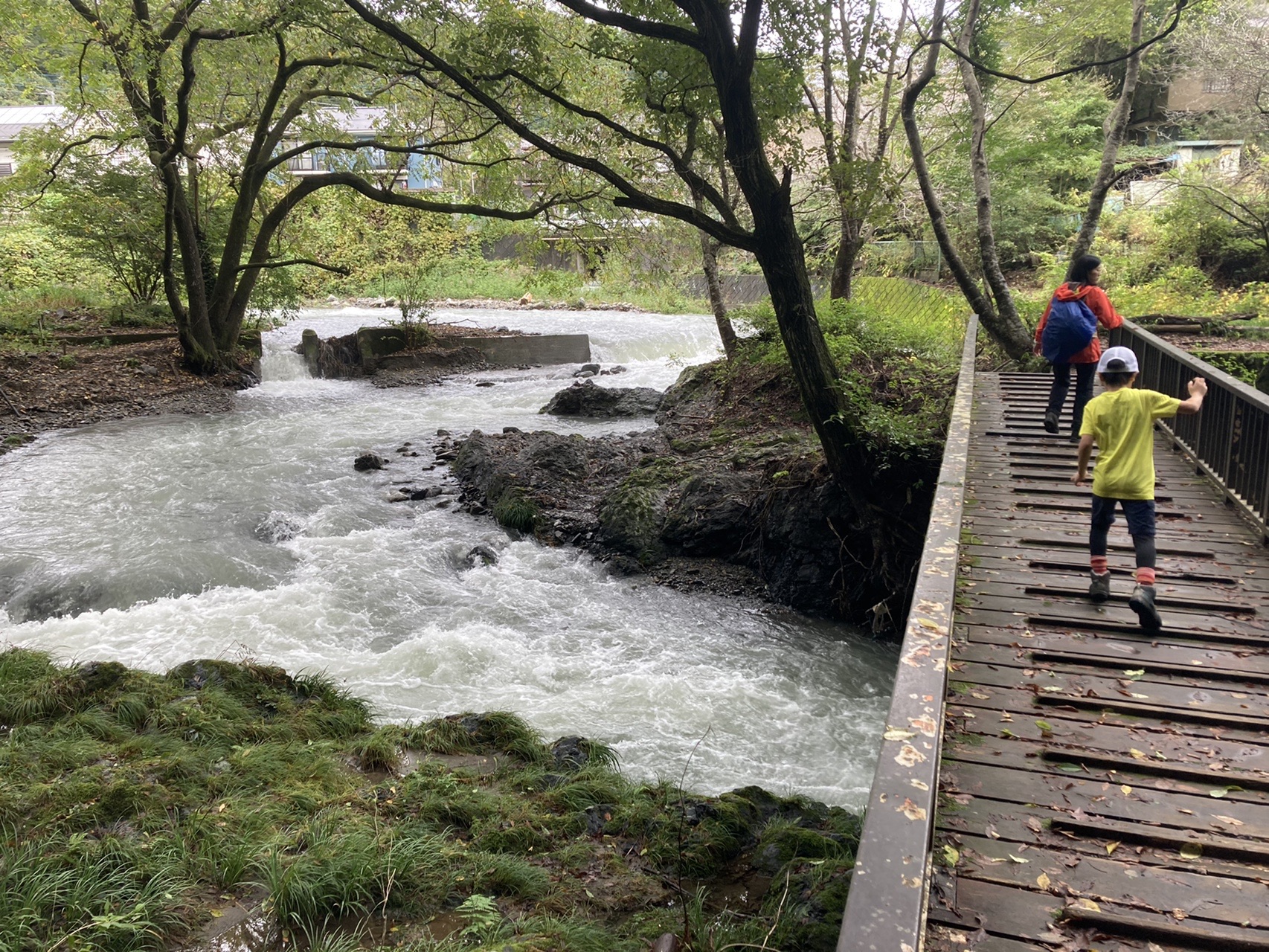 高尾山 蛇滝コース Sunterraceさんの高尾山 陣馬山 景信山の活動データ Yamap ヤマップ