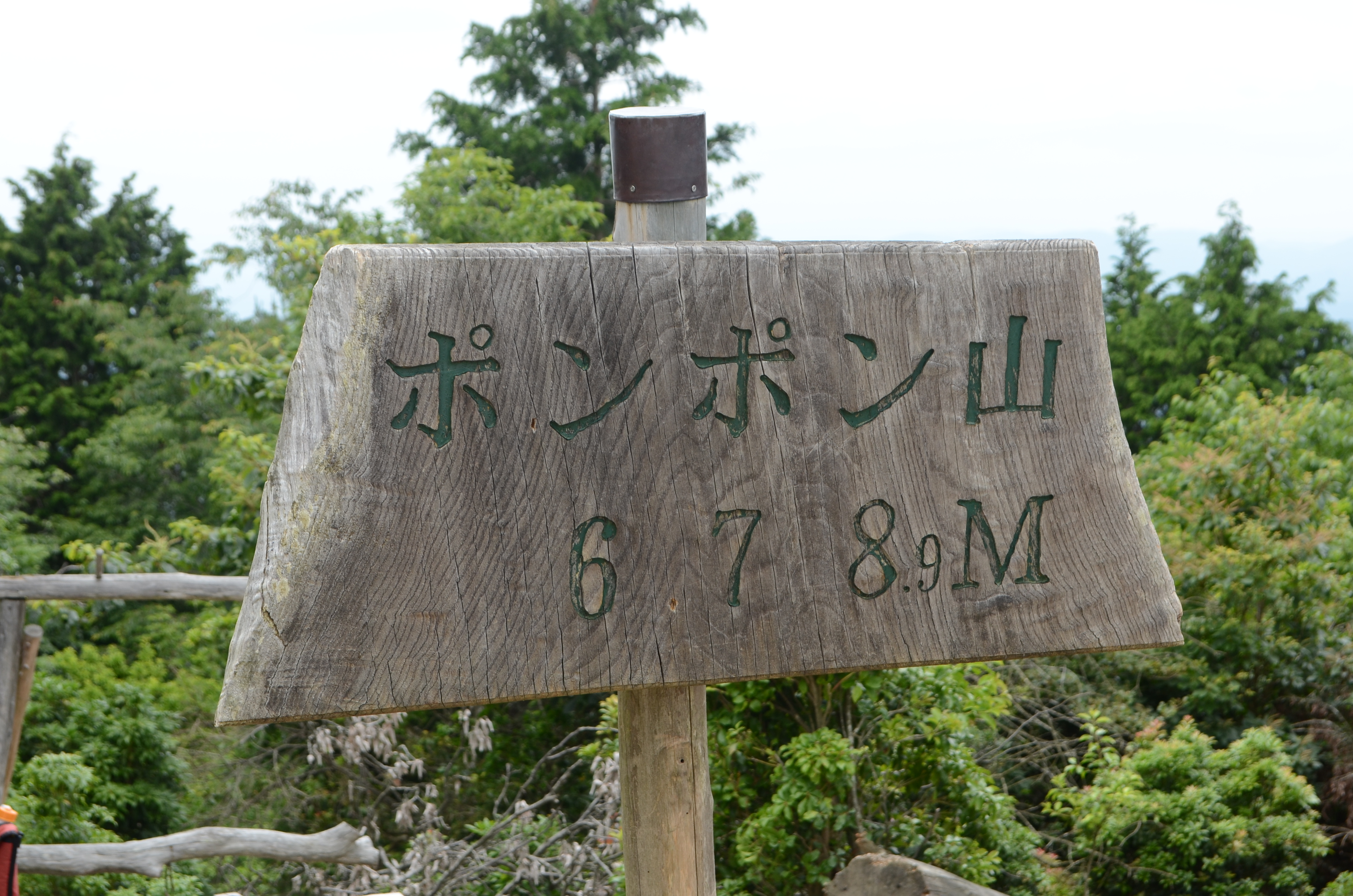大原野森林公園 西尾根ルート ポンポン山 東尾根ルート 大原野森林公園 田中家さんのポンポン山 京都府 釈迦岳 小塩山の活動データ Yamap ヤマップ