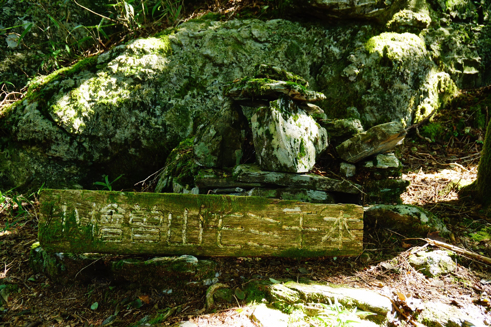 修行の成果 京柱峠 土佐矢筈山 ピストン ソーヤさんの三嶺 天狗塚 石立山の活動日記 Yamap ヤマップ
