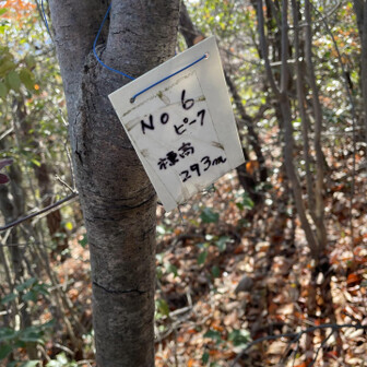 各務原アルプス（関南アルプス）・八木三山 第五ピーク飛ばして六ピーク