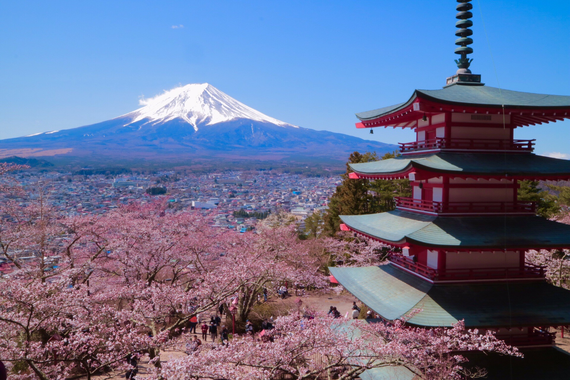 桜と富士山の新倉山 なおさんの三ッ峠山 本社ヶ丸 鶴ヶ鳥屋山の活動日記 Yamap ヤマップ