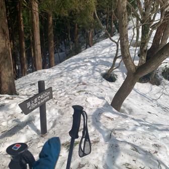 尖山 そんで分岐🪧