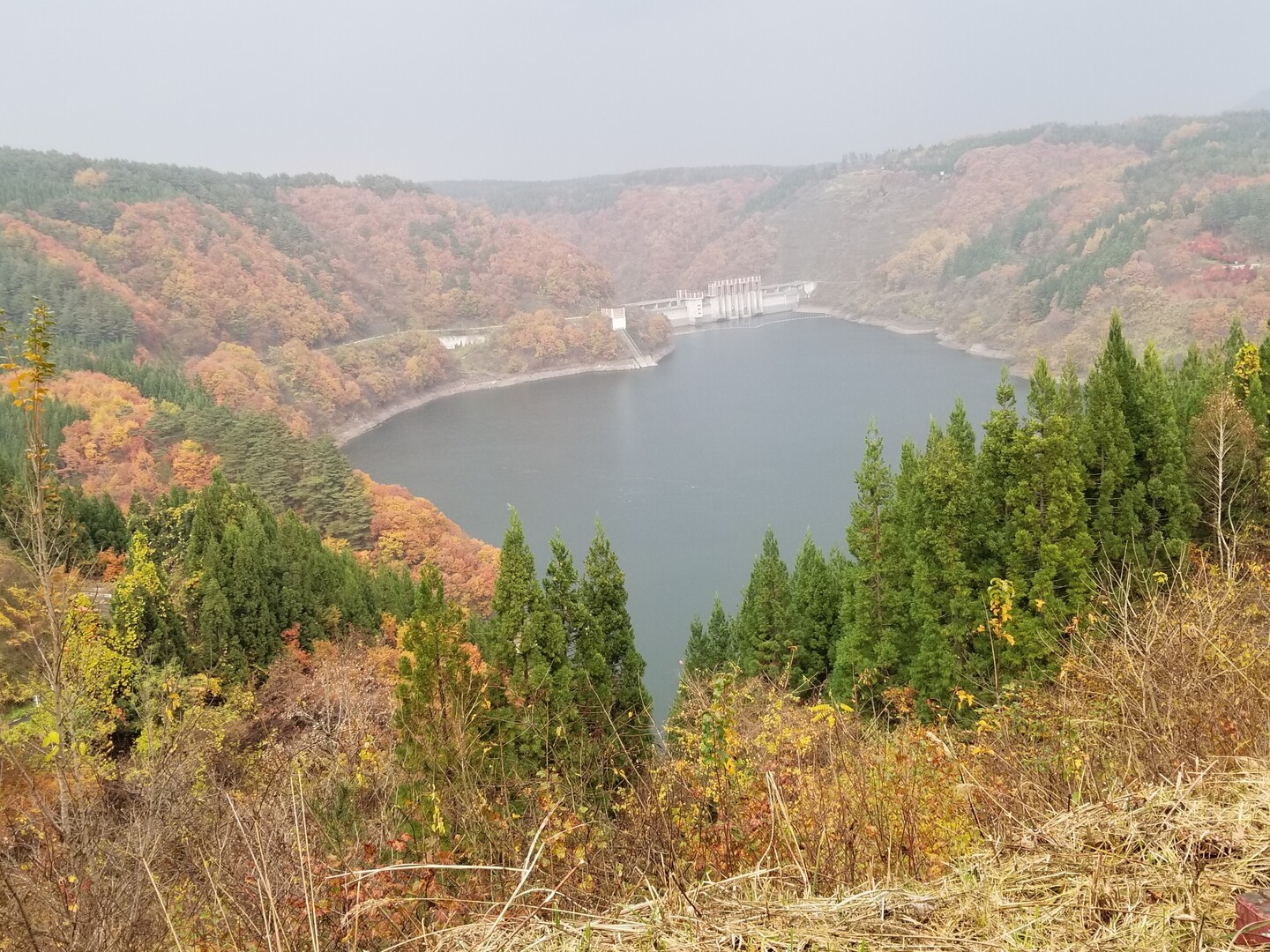 本日は前から見てみたかった南郷の世増ダム... / えりおさんのモーメント YAMAP / ヤマップ