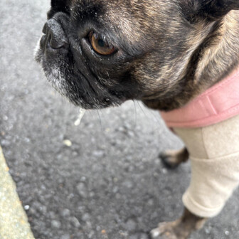 ぶー⭐︎初心者