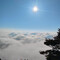 Kitogen