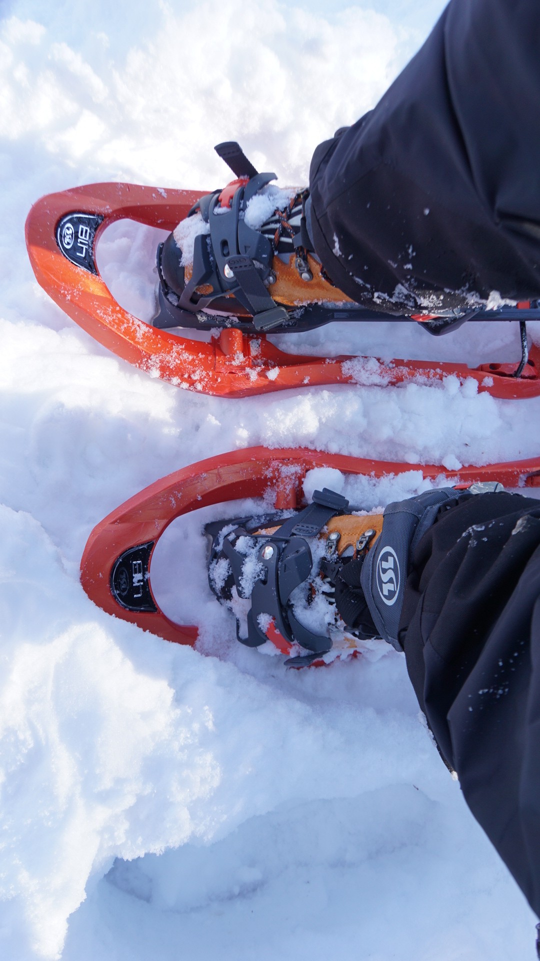 北アルプスの展望台天蓋山 じゅんさんの天蓋山 大鼠山の活動日記 Yamap ヤマップ