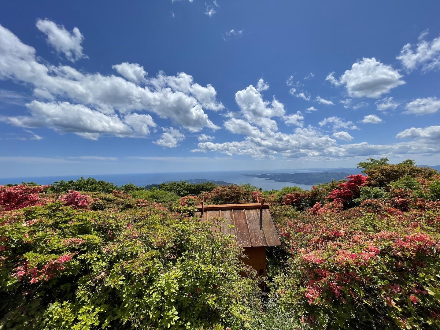 氷上山 / たちばなピタさんの氷上山の活動データ YAMAP / ヤマップ