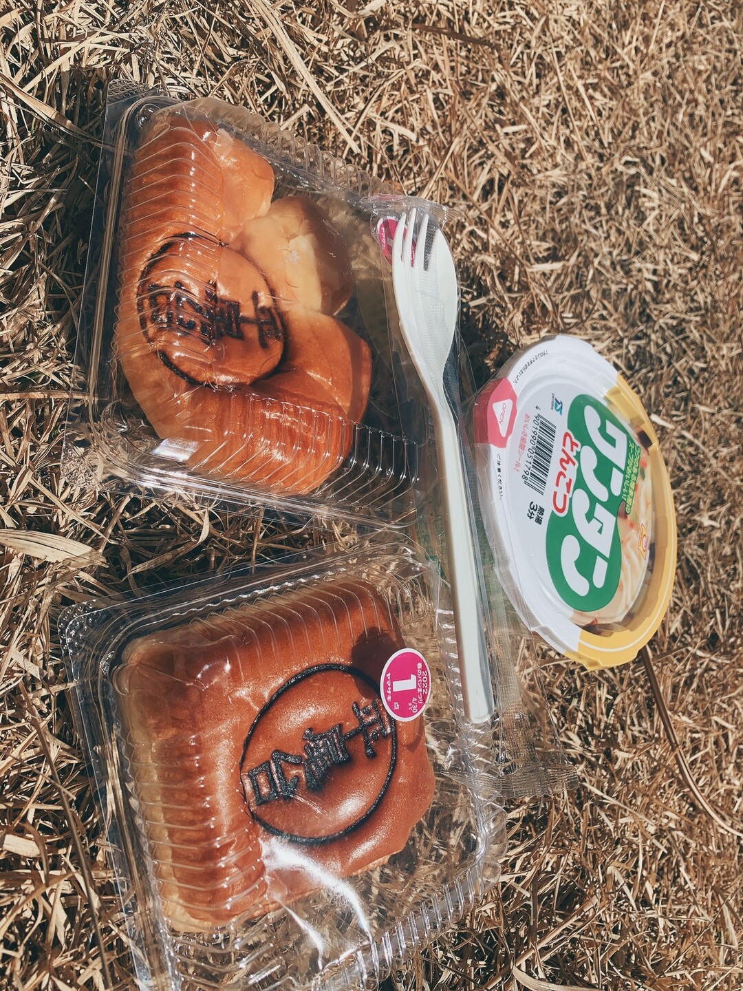 半年ぶりのソロで平尾台 野焼き後 大かんの台 大行事山 風神山 不動山 堂金山 貝殻山 天狗岩 桶ヶ辻 周防台 広谷台 権現山 三笠台 平尾台 貫山 水晶山の写真114枚目 お腹すいたので 全部食べる Yamap ヤマップ