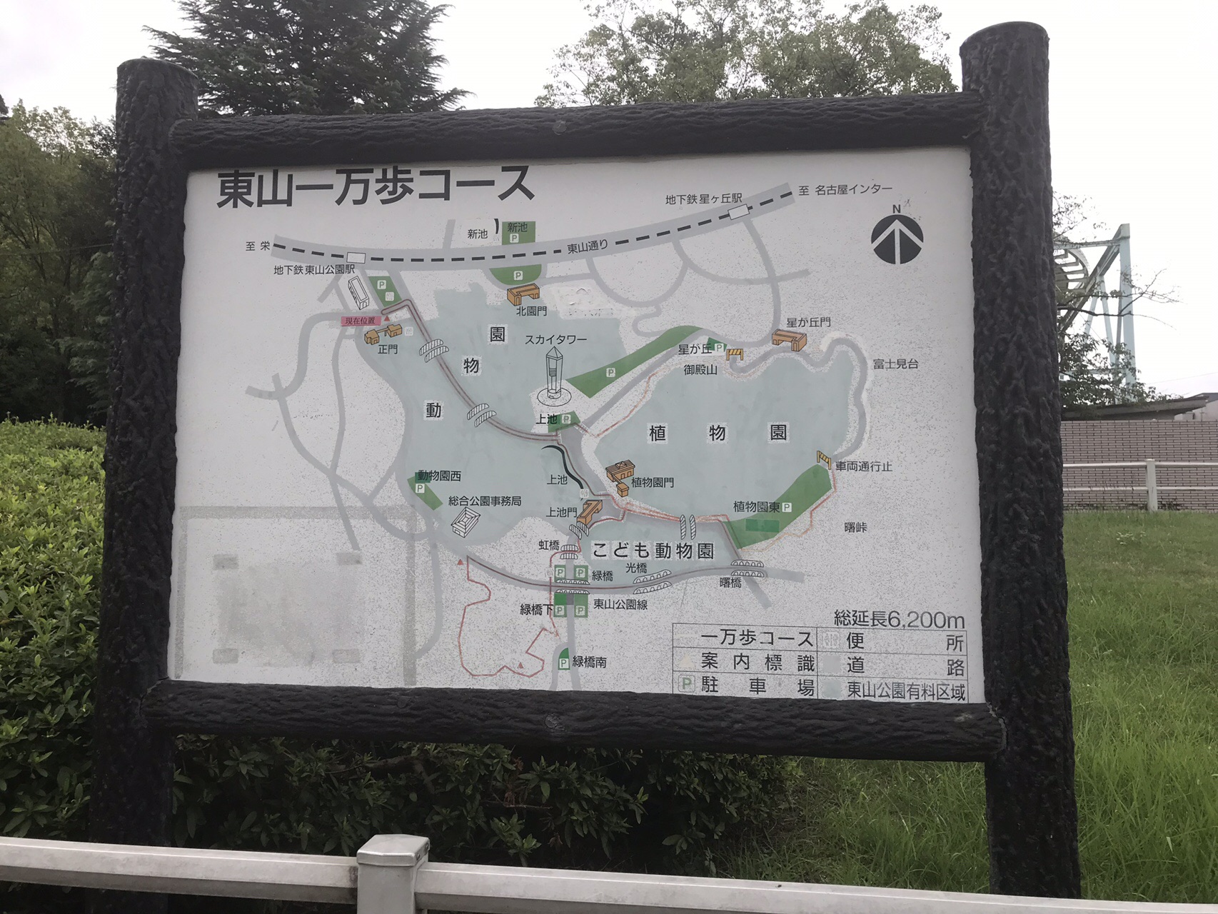東山一万歩 以上 コース 19 08 14 たてなおさんの名古屋市の活動日記 Yamap ヤマップ