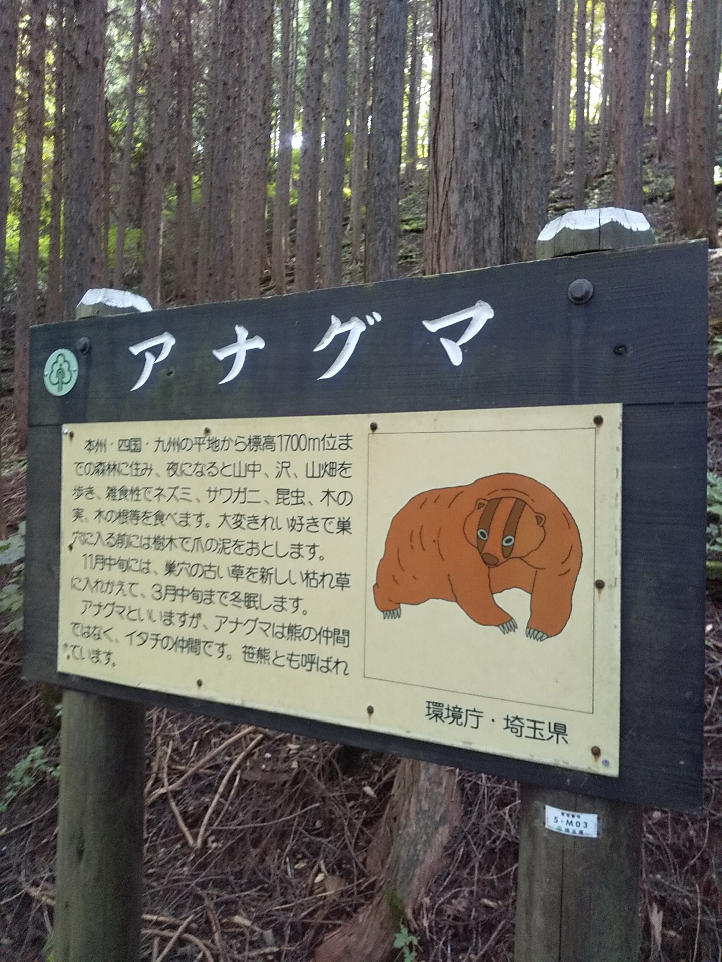 堂平山 剣ヶ峰 川木沢ノ頭 せいえいさんの堂平山 笠山 乳房山 大霧山の活動日記 Yamap ヤマップ