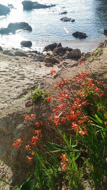 浦富海岸 と秘境の滝 猿壺の滝 を訪ねて 野うさぎ銀次郎さんの鳥取市の活動日記 Yamap ヤマップ