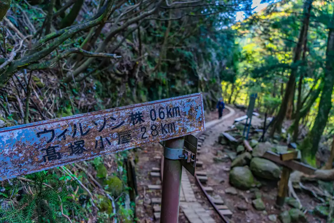 屋久島縦走 / lutecoさんの屋久島・宮之浦岳の活動日記 | YAMAP 屋久島縦走 / lutecoさんの屋久島・宮之浦岳の活動日記 | YAMAP