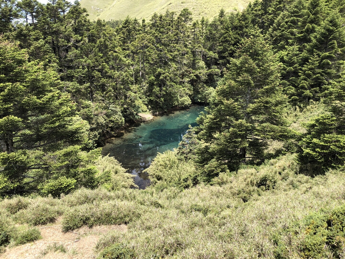 合歓山北峰（台湾） 駐車場ピストン / まささんの合歓山の活動データ YAMAP / ヤマップ