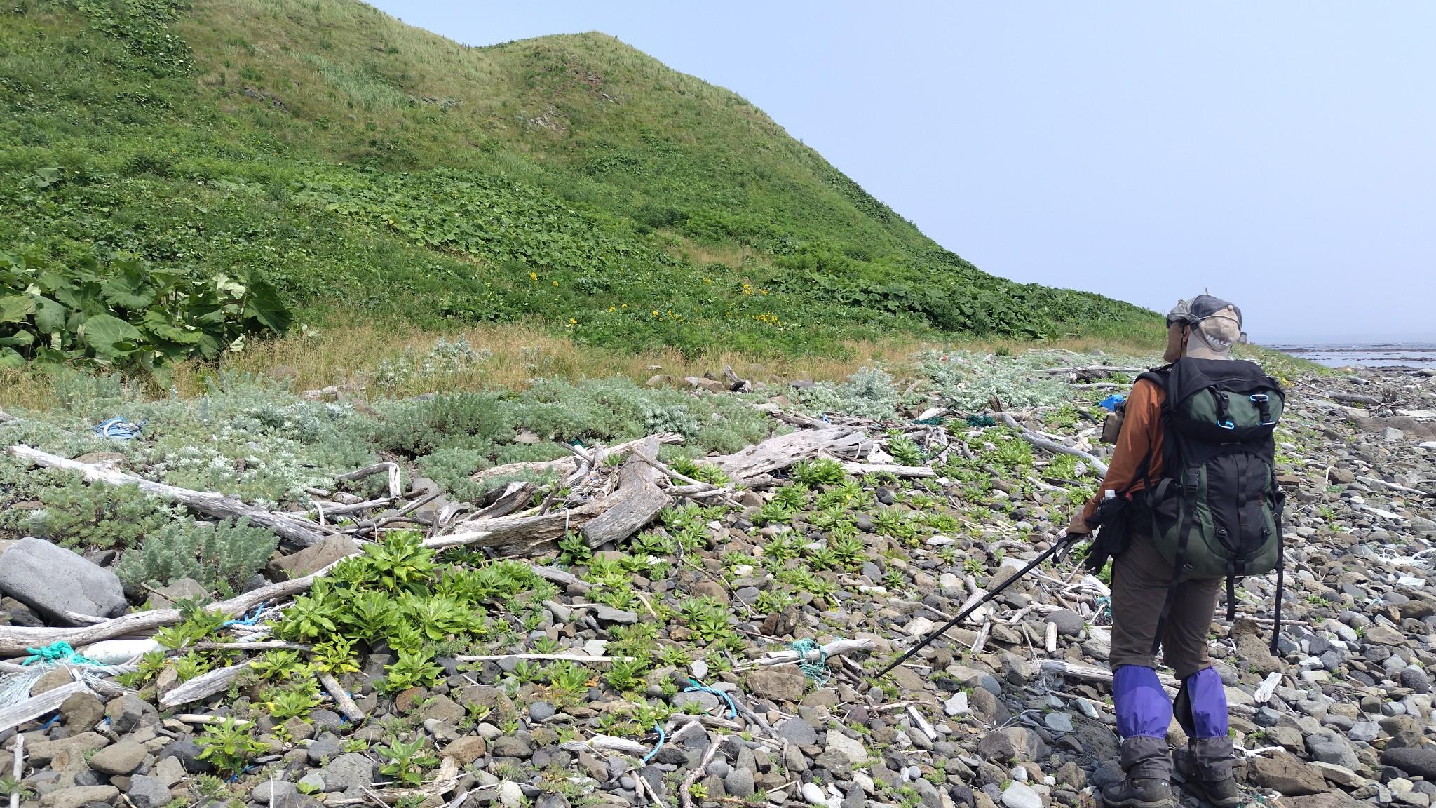 この斜面を登ったら、知床岬の大地！