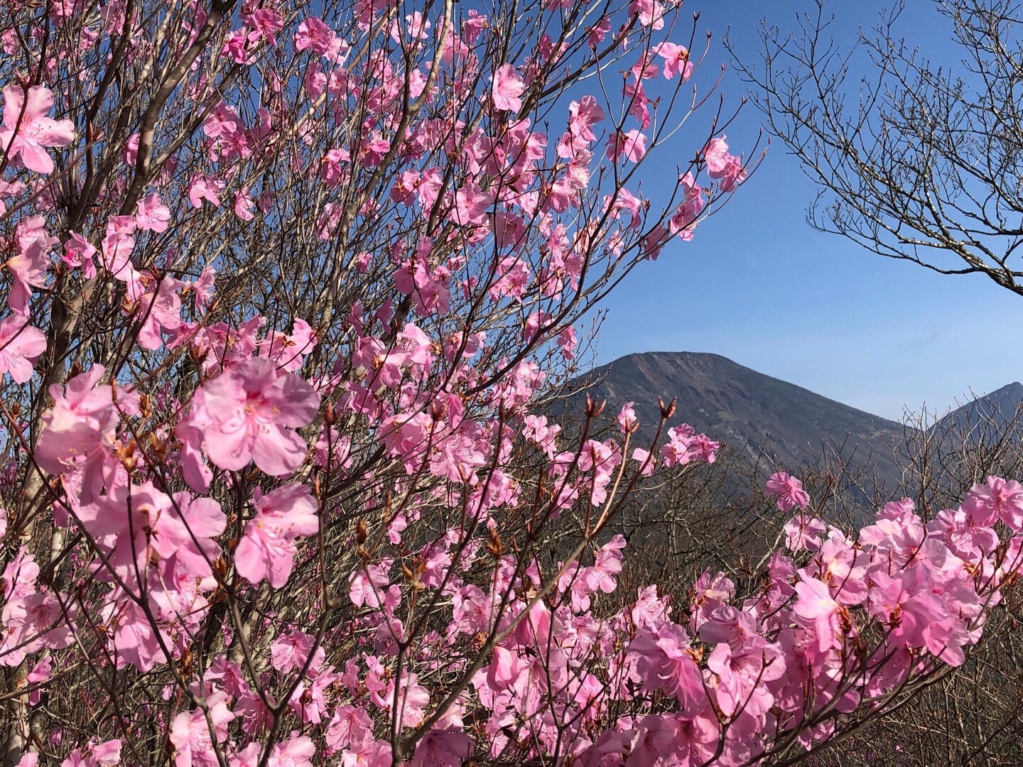 薬師岳・夕日岳🌸